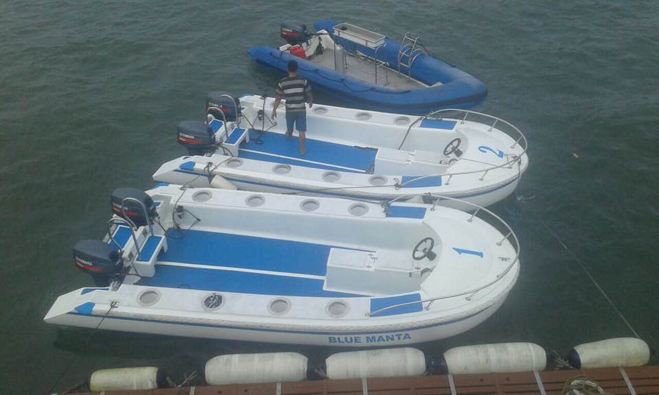 tropical-seas_tropical_schiffe_blue-manta-new-tender-boats-jul17