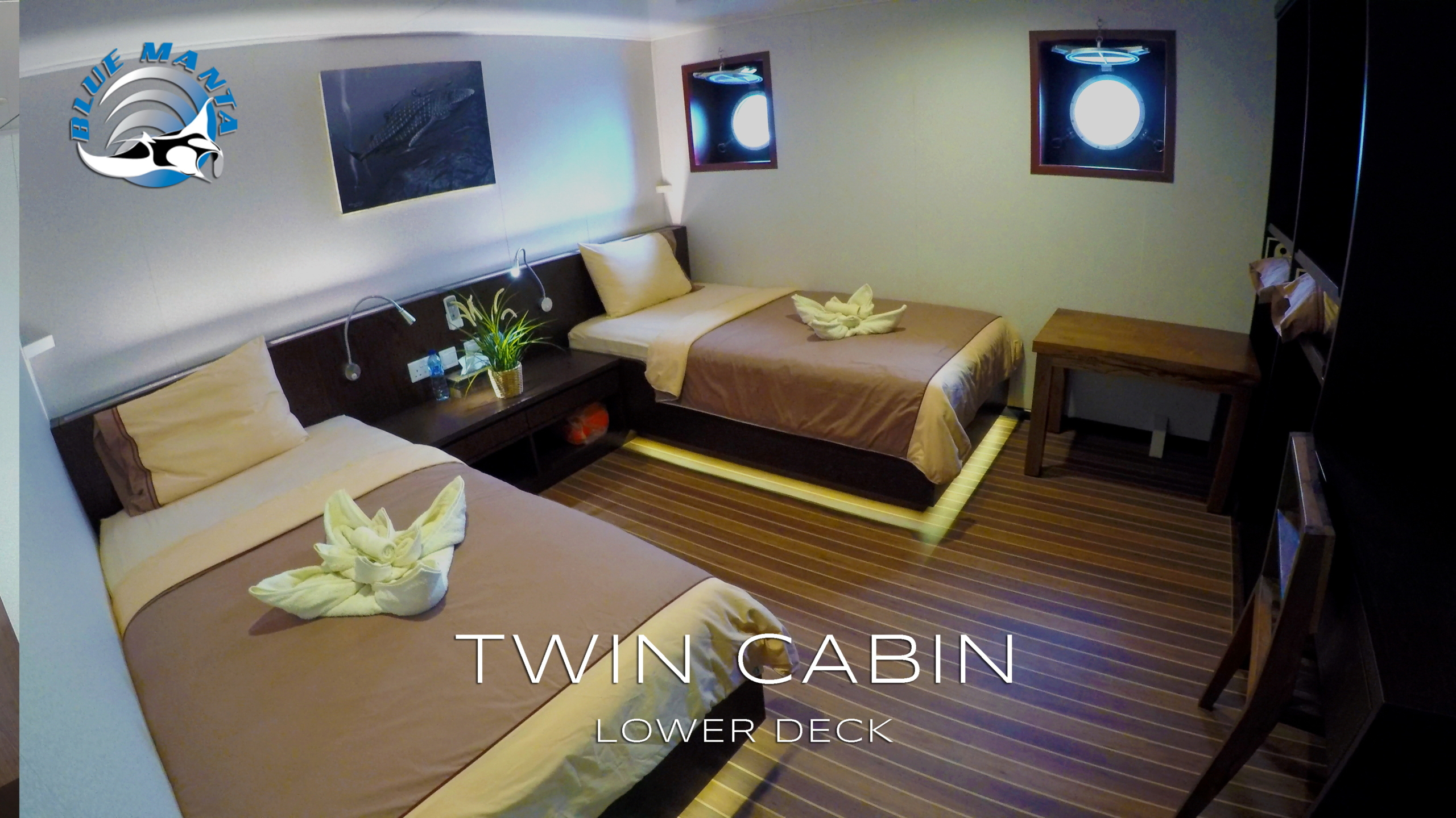 tropical-seas_tropical_schiffe_blue-manta-twin-cabin-lower-deck