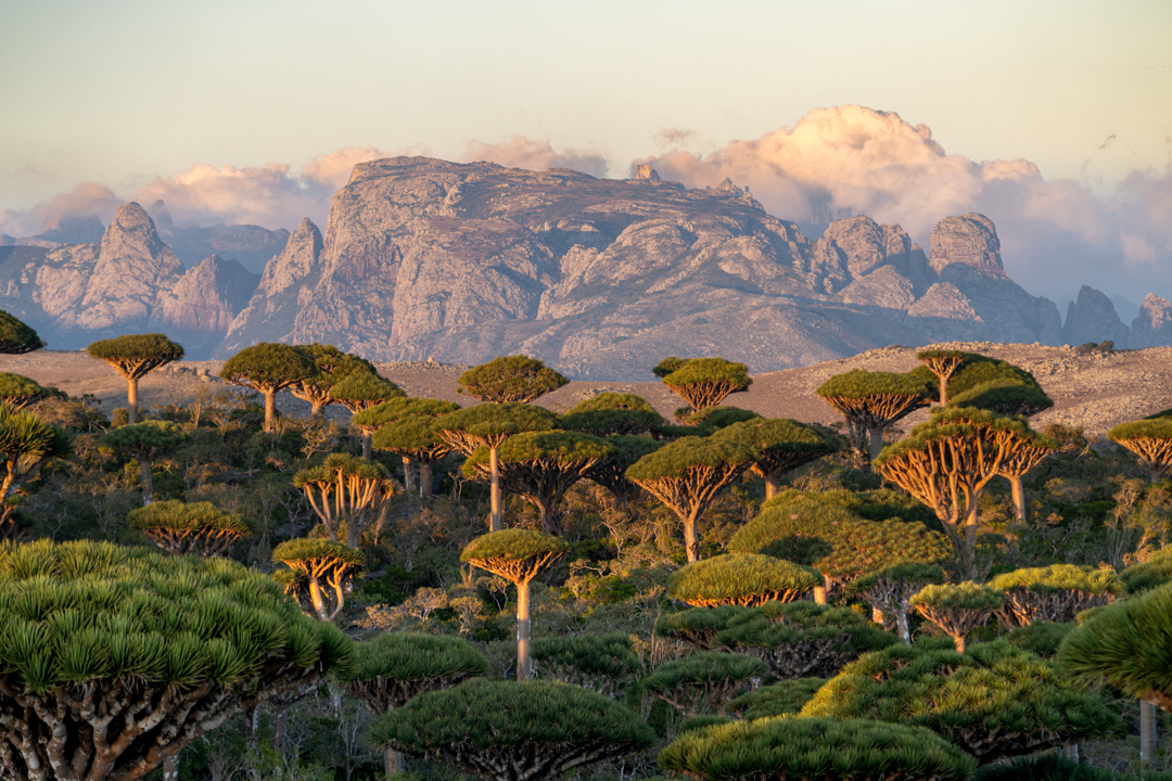 Weitere Reiseziele Tauchen