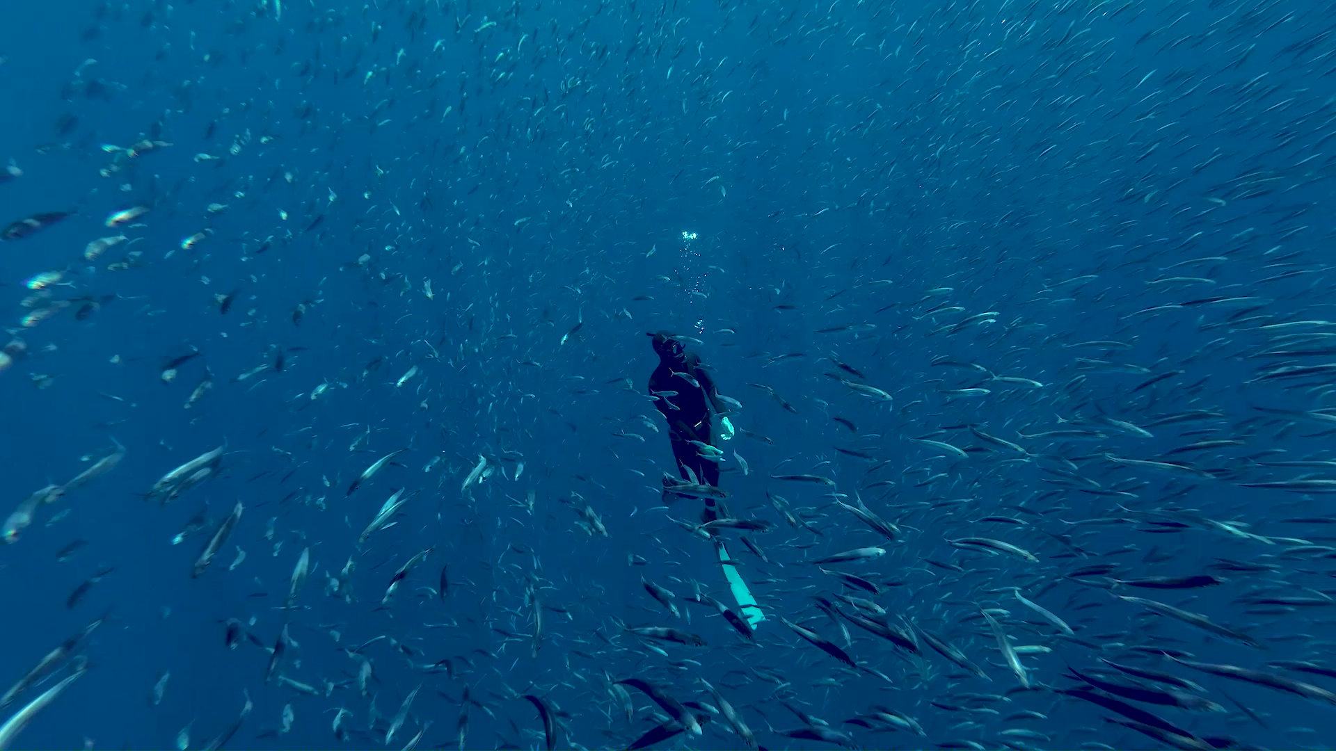 Tauchen Pico
