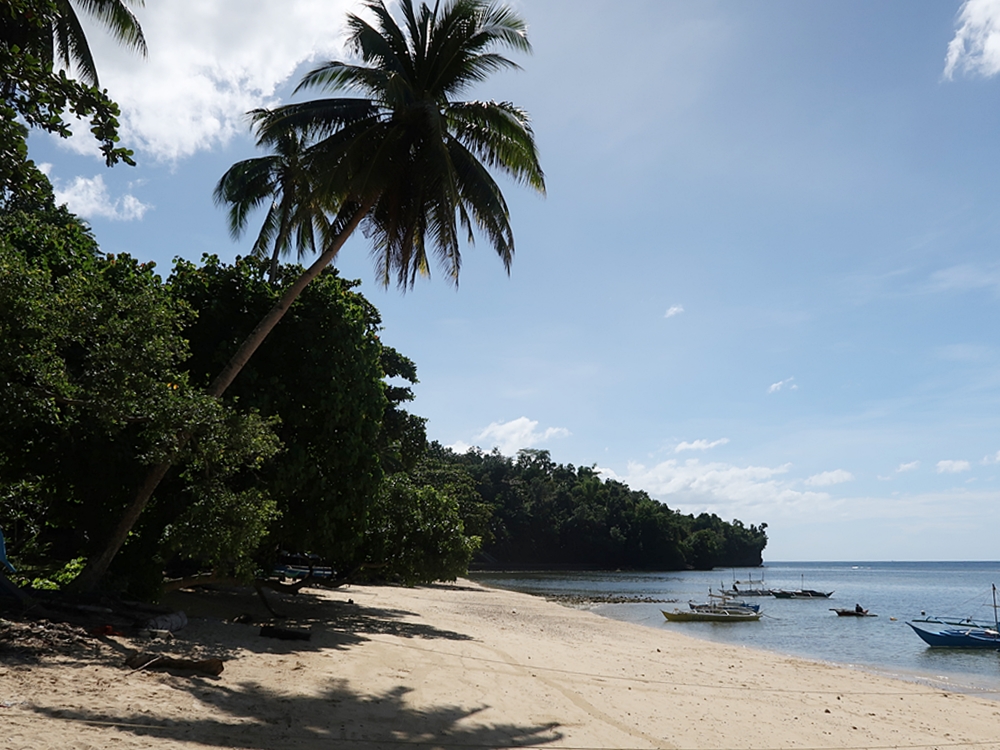 Tropical-Seas-Bilder Harmacek - Philippinenimg_7980_54366968621_o