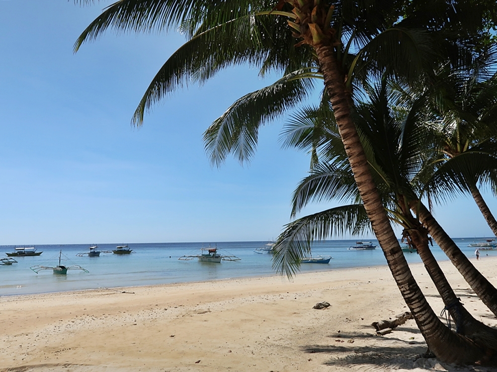 Tropical-Seas-Bilder Harmacek - Philippinenimg_8052_54367367650_o