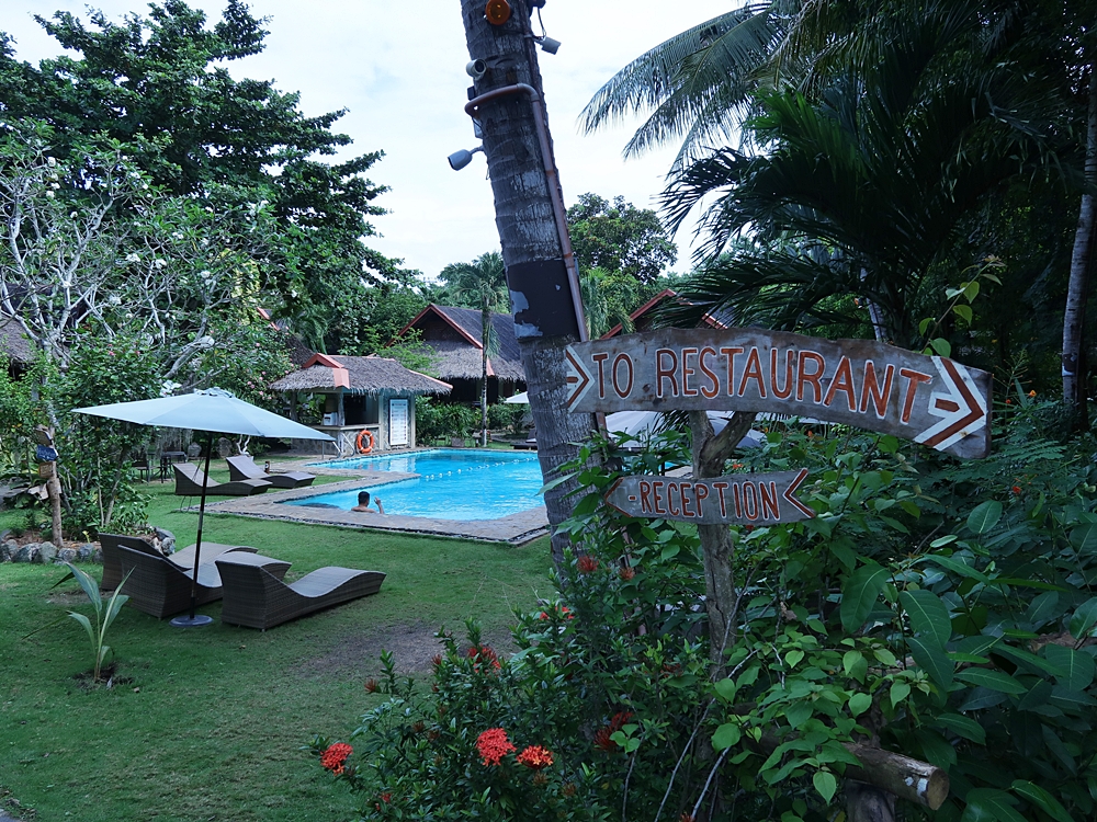 Tropical-Seas-Bilder Harmacek - Philippinenimg_8337_54367180779_o