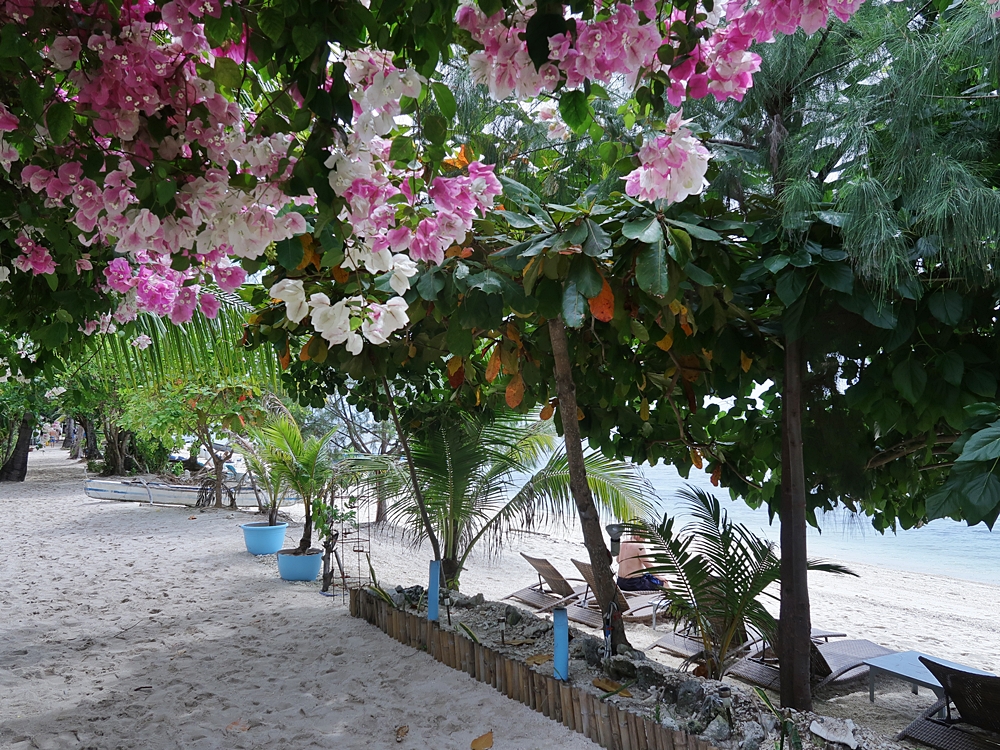 Tropical-Seas-Bilder Harmacek - Philippinenimg_8865_54367399890_o
