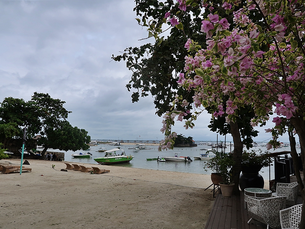 Tropical-Seas-Bilder Harmacek - Philippinenimg_8879_54367281304_o