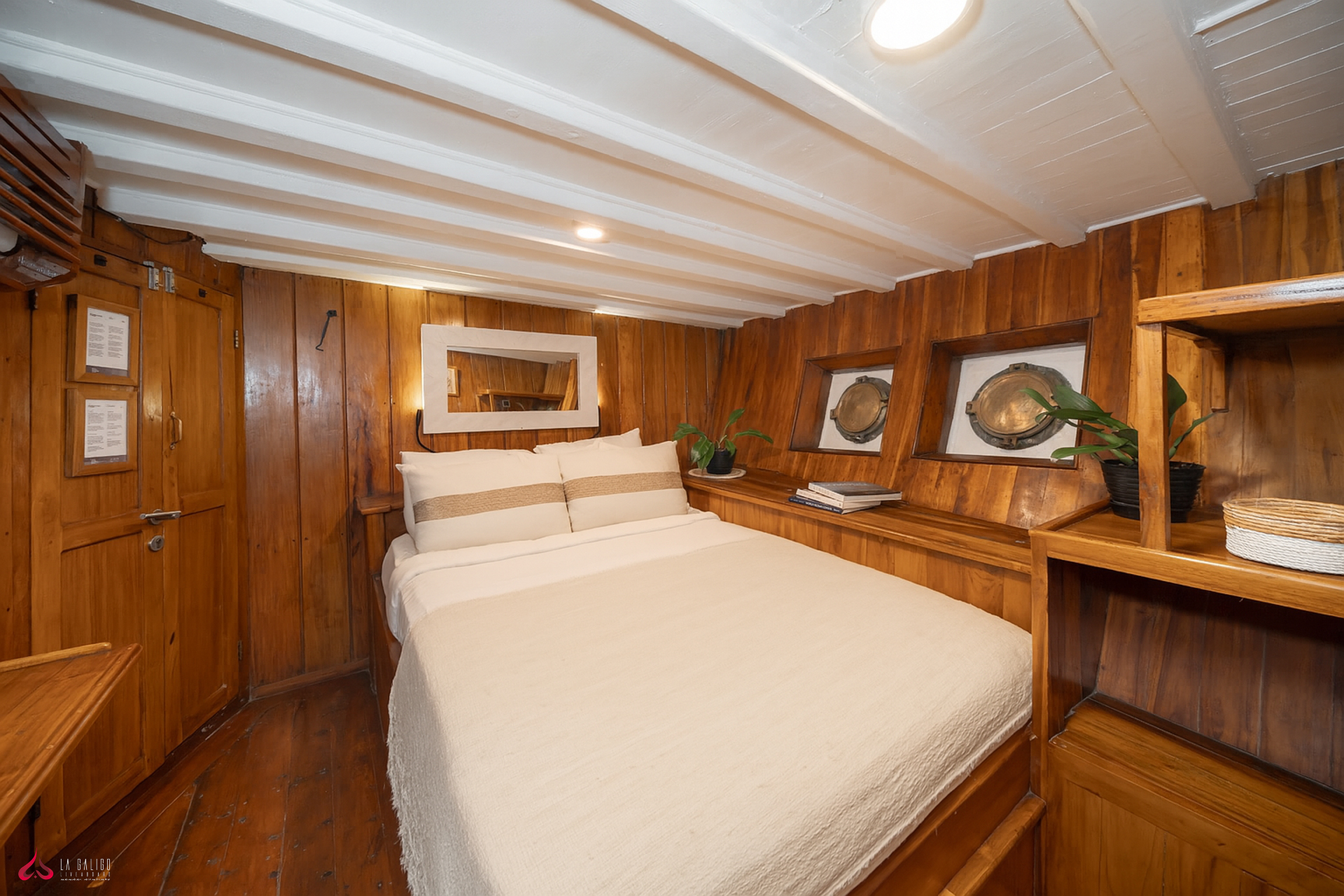 tropical-seas-la-galigodeluxe-queen-bed