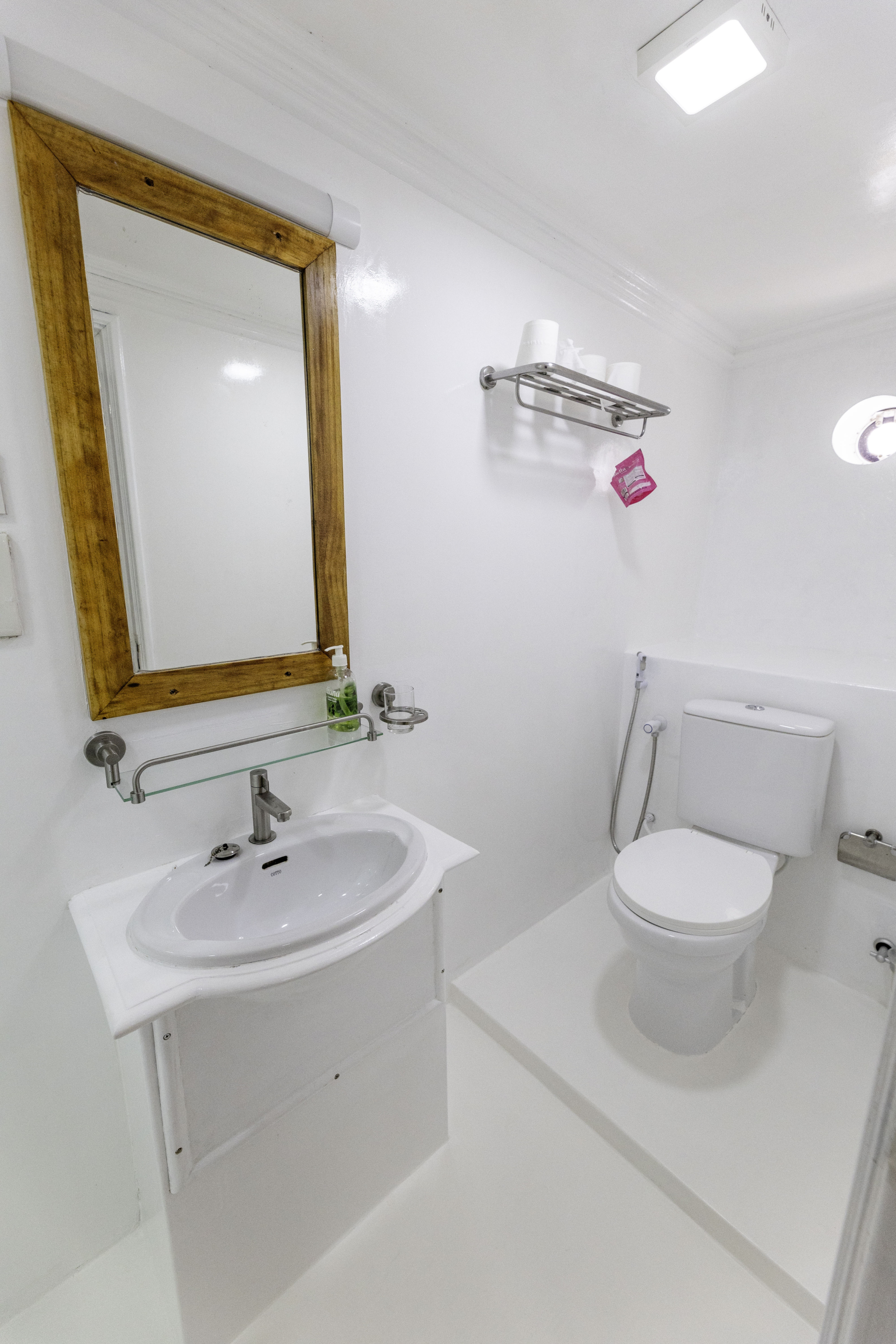 tropical-seas_tropical_schiffe_island-safari-1-0f3a5981