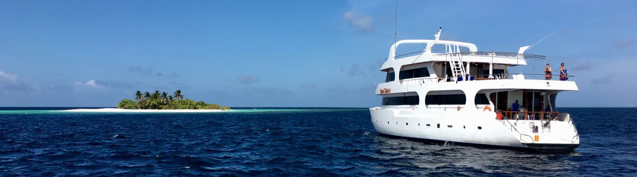 tropical-seas_tropical_schiffe_island-safari-1-4bis-x-newsletter