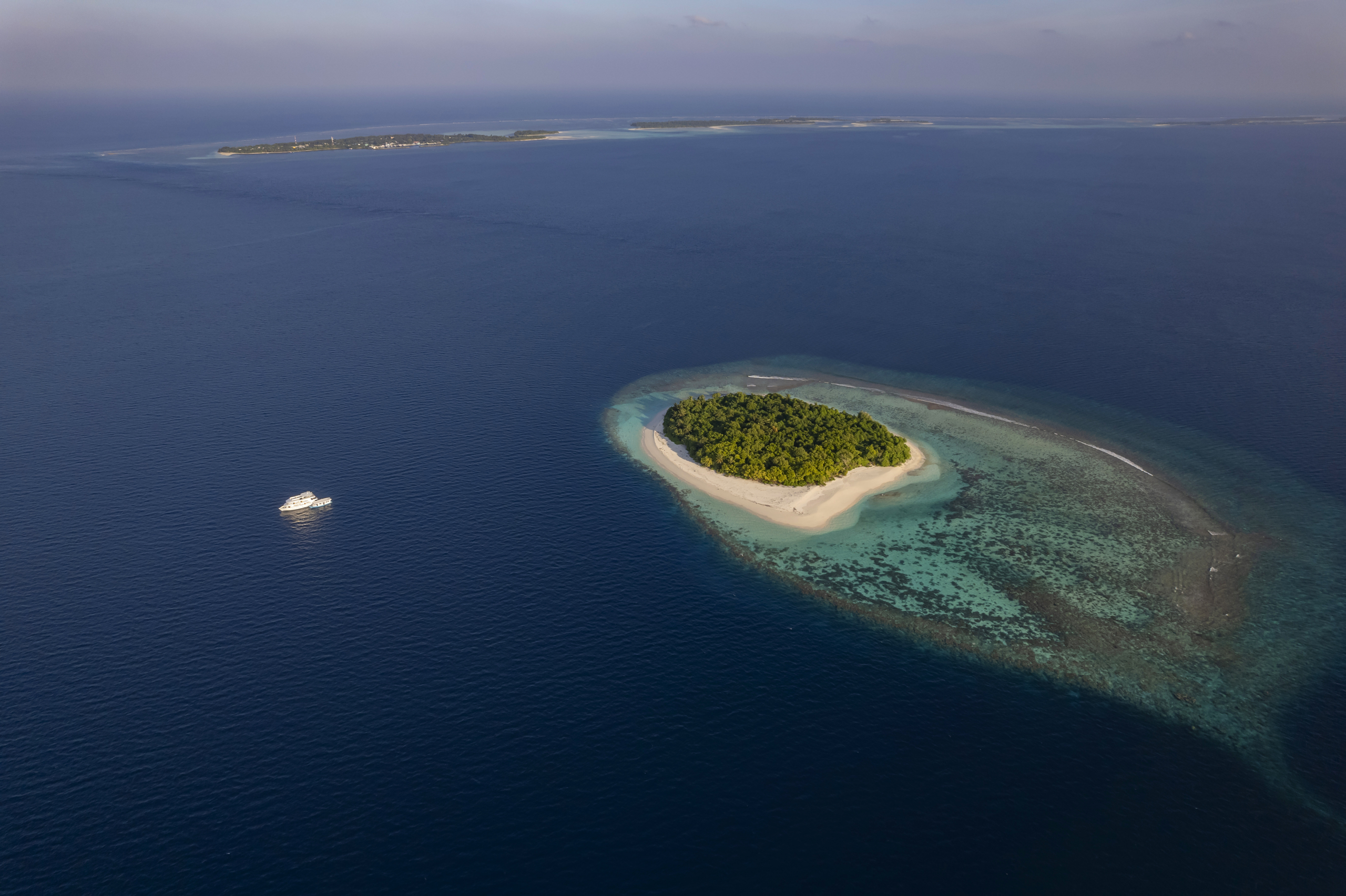 tropical-seas_portfolio_cocos-island-tauchsafari-copy-Malediven-Keana